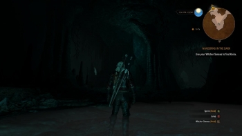 The Witcher 3 Screenshot